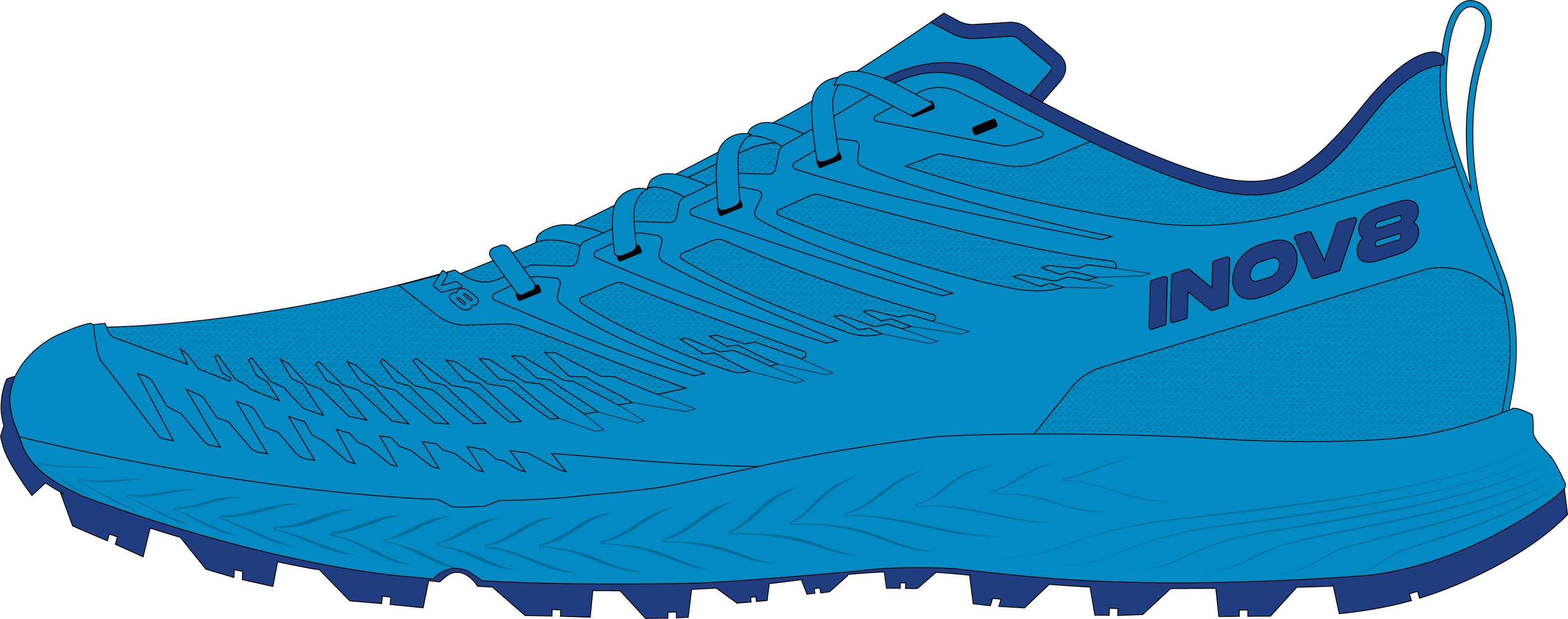 Image Inov8  TrailFly Speed V2  Homme BLEU M9